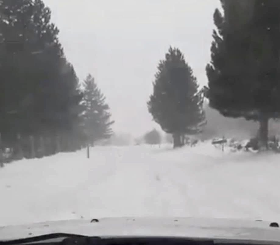 Paradossi di Calabria: il Centro per sci di fondo chiuso per… neve