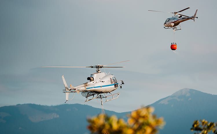 Calabria nella morsa del fuoco, venerdì record di incendi