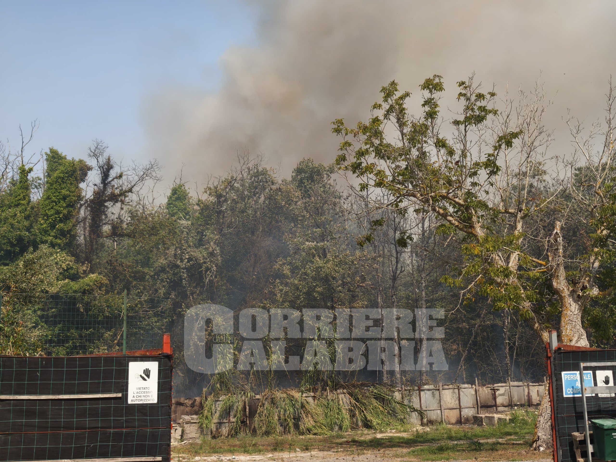 Incendi nel Vibonese, le fiamme minacciano abitazioni e terreni – FOTO E VIDEO