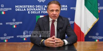 Crisi olivicoltura, Lollobrigida: «Chiesto all’Europa di intervenire con il fondo di emergenza»