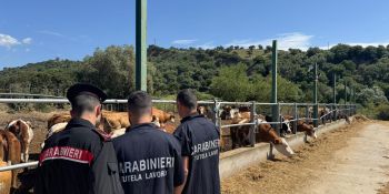 Operai in nero vivevano in un capannone, sanzionata un’azienda agricola nel Catanzarese