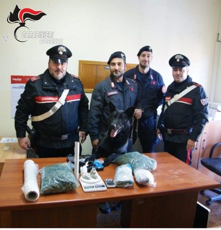 "Black" annusa 1,5 kg di marijuana, 29enne ai domiciliari