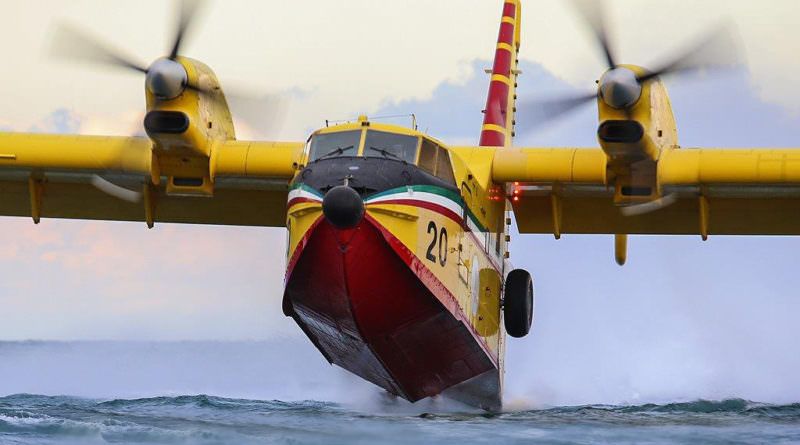 Castrolibero, area boscata distrutta da un incendio