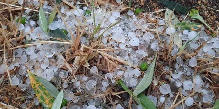 Maltempo, Fai Cisl: «Duro colpo per il settore agricolo cosentino»