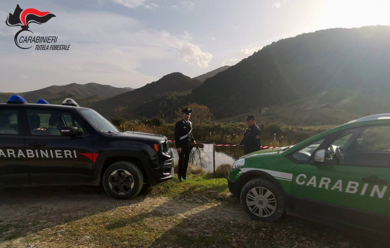 Smaltimento illecito di rifiuti nel Cosentino, denunciato il titolare di un frantoio