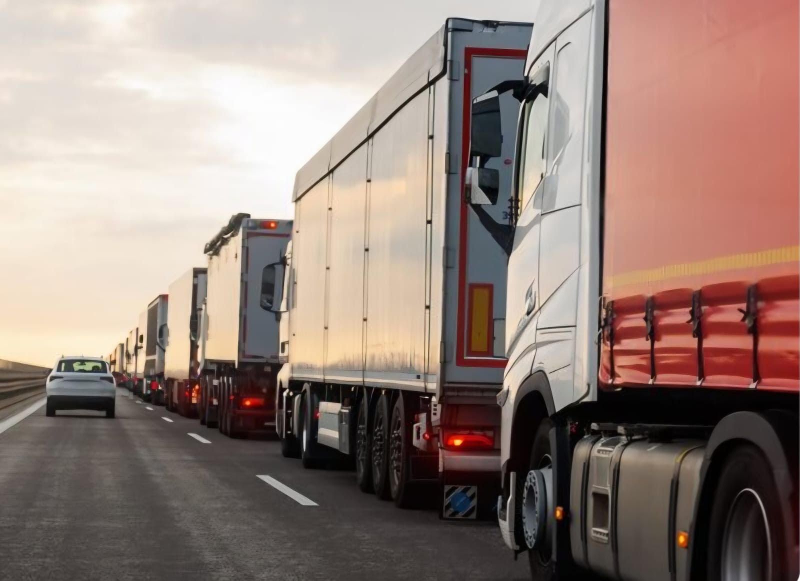 Confagricoltura, allarme per il blocco dei trasporti. Agricoltura calabrese in affanno