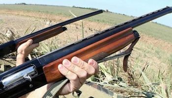 Sette cacciatori assaliti all’alba e derubati dei fucili nella Piana di Gioia Tauro