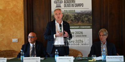 Xylella, caro gasolio e crisi agricola, Gallo: «vicinanza totale e concreta  agli agricoltori»