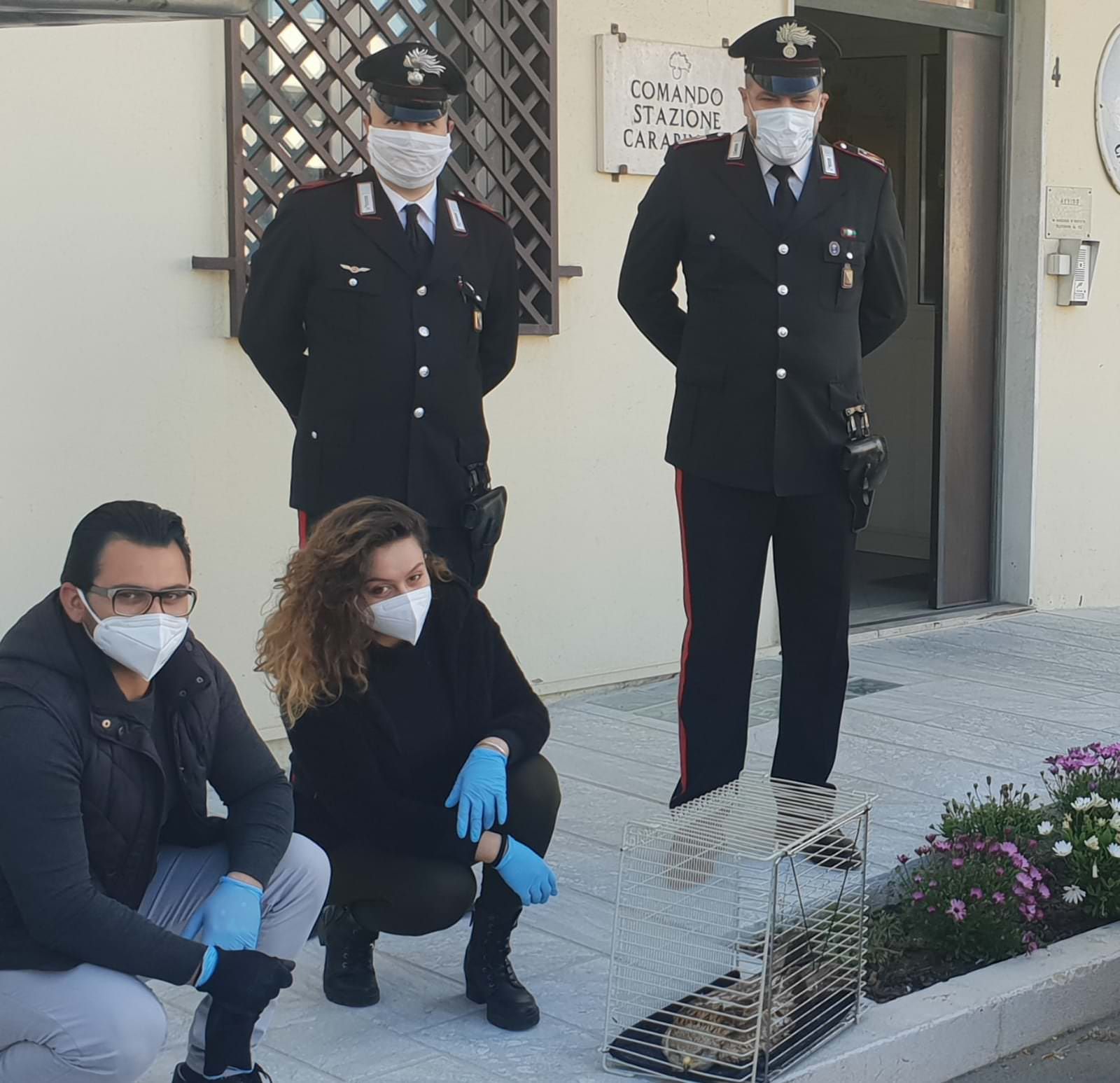 Canna, i carabinieri e il vicesindaco salvano un falco