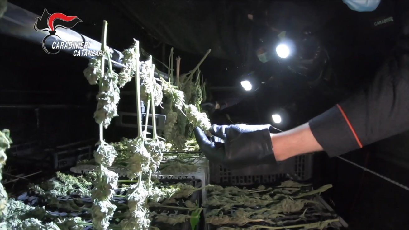 Traffico di droga a Catanzaro, obbligo di dimora per l'ex convivente di Vincenzo Talarico
