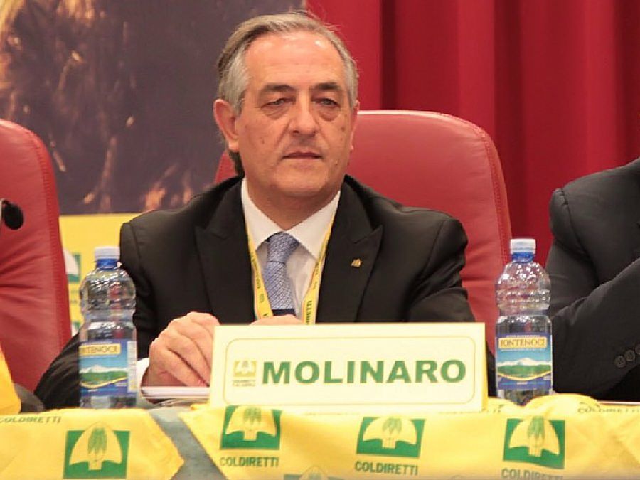 Molinaro "rischia il posto". Novello pronto a presentare ricorso