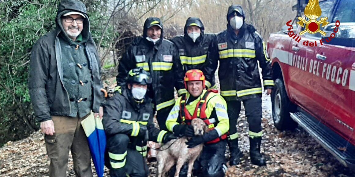 Cerisano, salvato dai pompieri un cane bloccato in un torrente