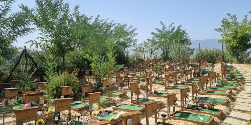 cimitero animali foto copertina