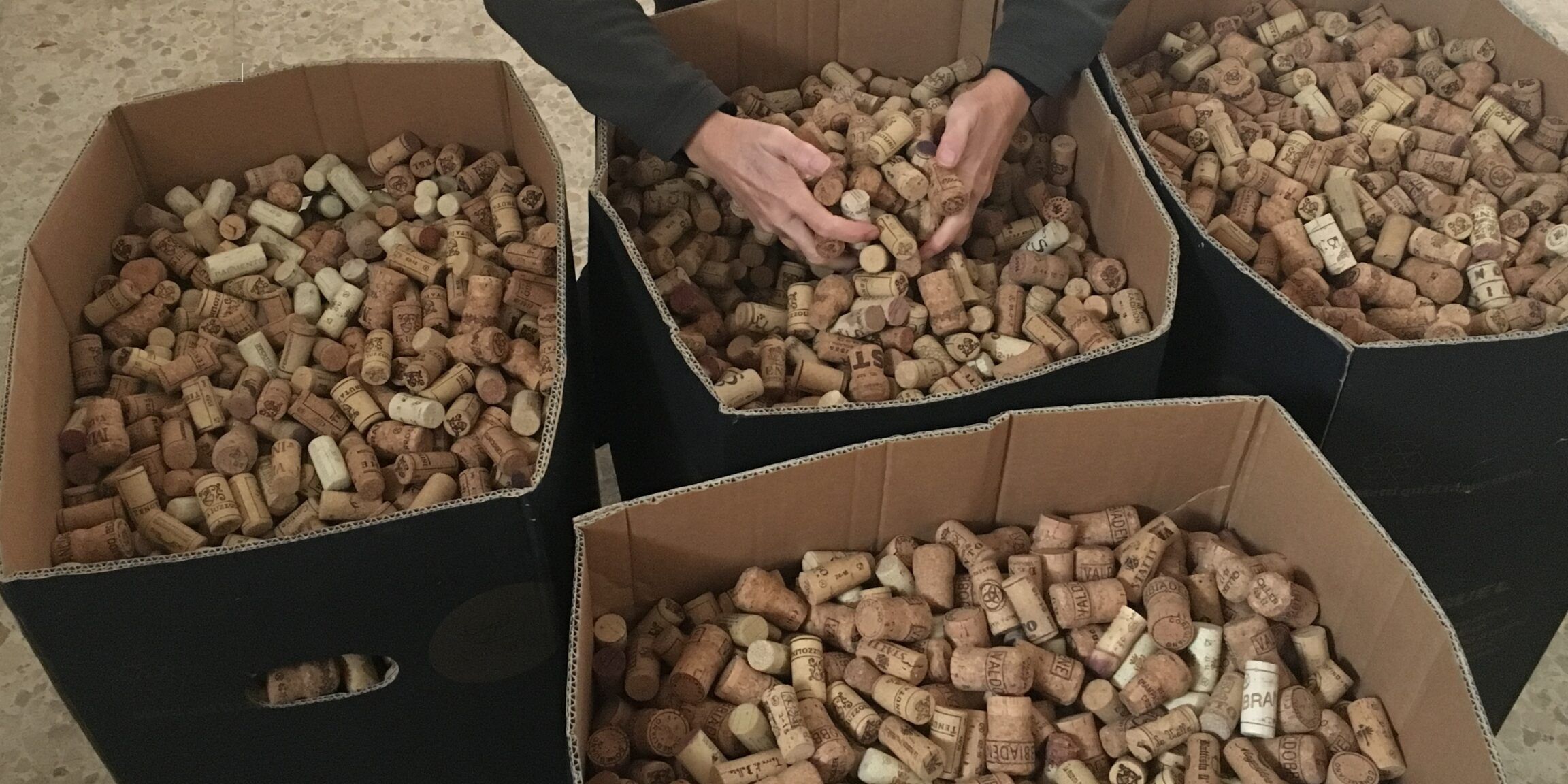 «A Natale salviamo i tappi di sughero delle bottiglie di vino e di spumante»