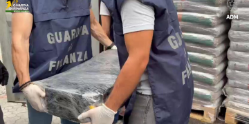Cocaina dal Sud America nel container di pellet, a Gioia Tauro sequestrato un carico da 20 milioni – VIDEO