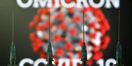 variante omicron calabria