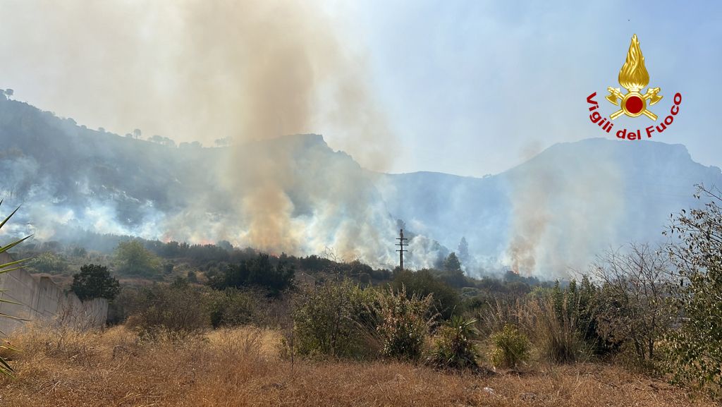 Incendi boschivi, in Calabria 100 interventi in un giorno. Vibonese tra i più colpiti