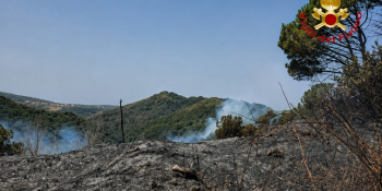 Caldo estremo e incendi, l’estate più difficile di Calabria Verde. Oliva: «Salvato un patrimonio prezioso»