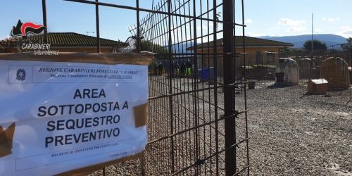 lamezia canile sequesto