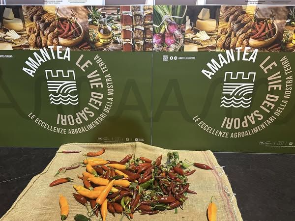 Le eccellenze agroalimentari e il patrimonio paesaggistico: ad Amantea la kermesse “Le vie dei sapori”