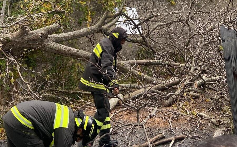 Alberi caduti e tetti divelti nella notte, la Calabria colpita dal maltempo – FOTO
