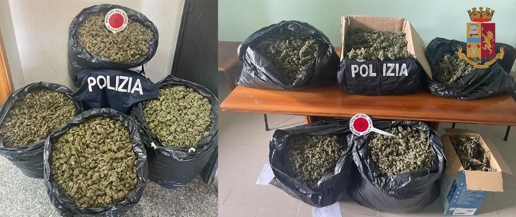 Centri di smistamento droga nelle Serre, sequestrati 65 chili di marijuana