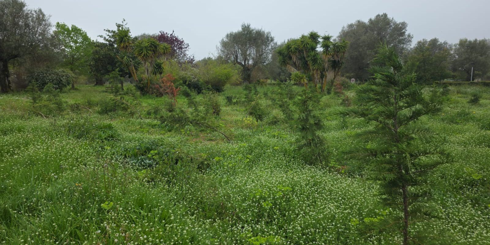 Vibo, Mangialavori attacca l’amministrazione Romeo: «Parco urbano in condizioni indecenti, vergogna»
