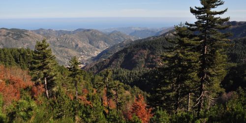 Sila Greca_Monte Altare