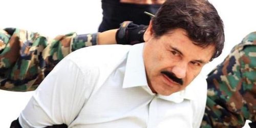 el chapo