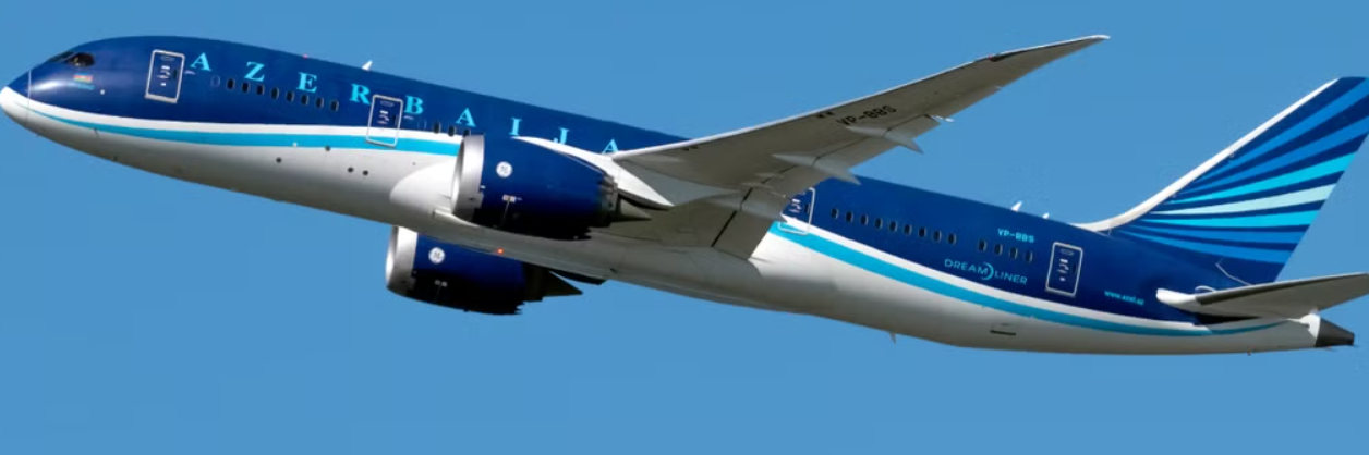 Aereo entra in collisione con uno stormo di uccelli e si schianta