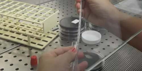 muore dopo aver mangiato insaccato