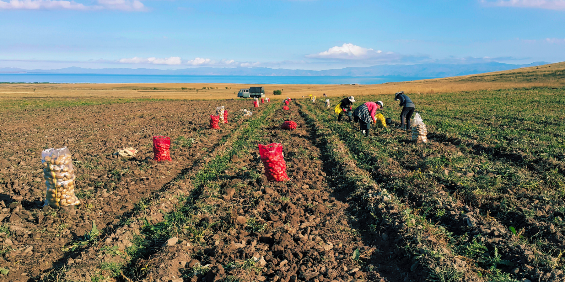 Agromafie e caporalato, preoccupante il fenomeno in Calabria dove «la ‘ndrangheta trova terreno fertile» – VIDEO