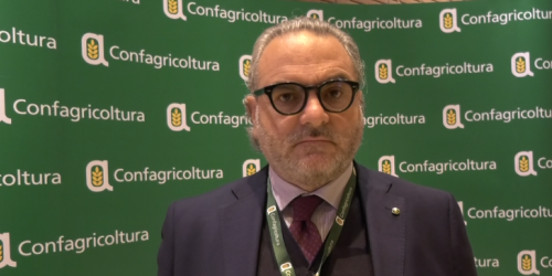 alberto statti confagricoltura