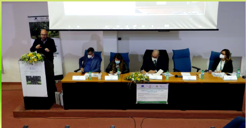 «L’olivicoltura in Calabria ha bisogno di imprenditori giovani, tecnologia e sostenibilità»