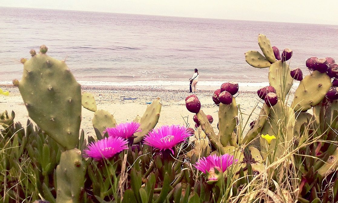 «Il modello Calabria per un futuro sostenibile»