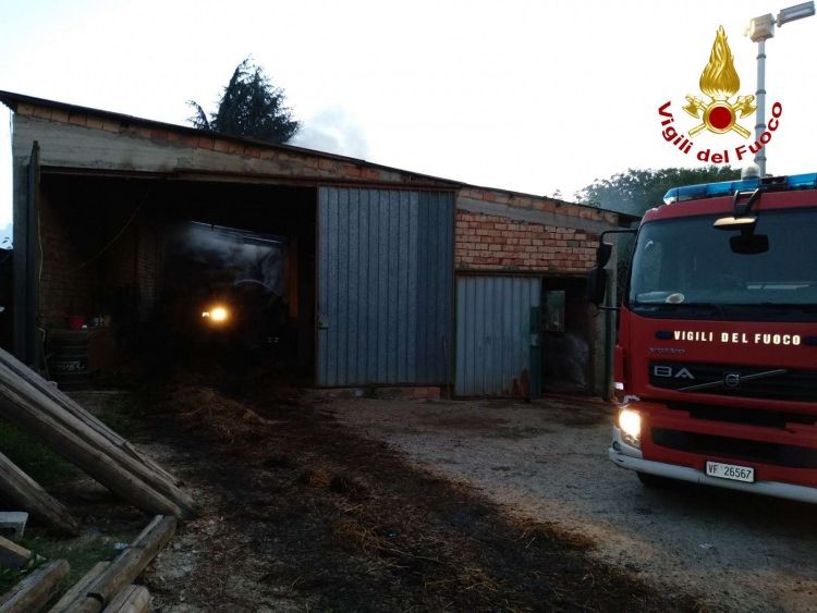 Capannone in fiamme Vibonese, morti tutti gli animali all'interno