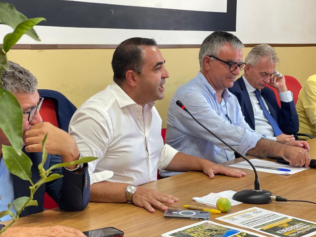 Emergenza bergamotto, Cannizzaro: «Il territorio chiama, le Istituzioni rispondono»