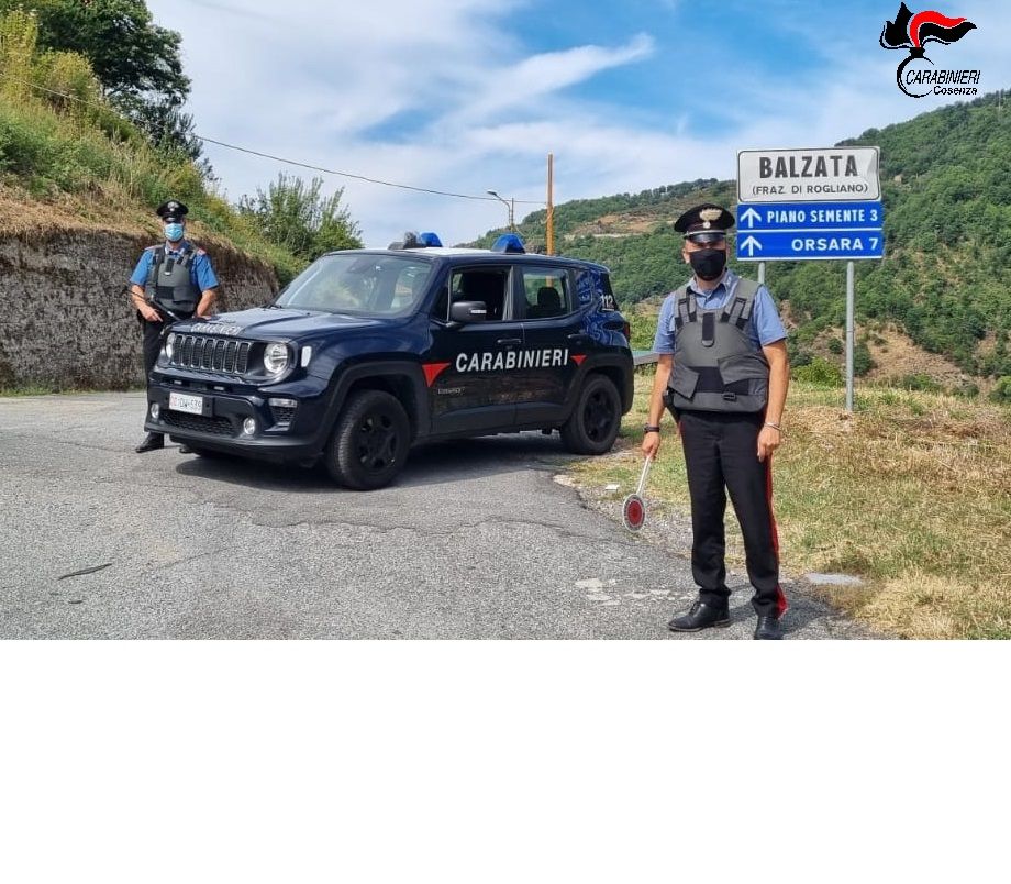 Rogliano, detiene droga in cantina: denunciato dai carabinieri