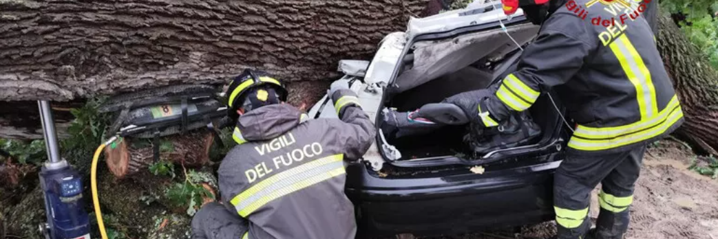 Quercia su auto nel Materano, un morto e 3 feriti. Aperta un’inchiesta