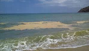 Mare sporco, occupato il municipio di Nicotera