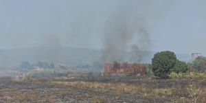 Ancora incendi a Lamezia, vasto fronte di fuoco a Sant’Eufemia – FOTO E VIDEO