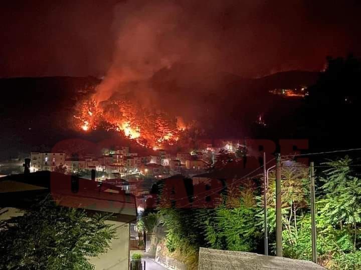 Incendi, pineta in fiamme a Gizzeria: cittadini allontanati dalle abitazioni – FOTO