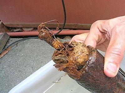 Lamezia, esplode ordigno davanti al "Fandango"