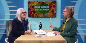 Il vino che racconta la Calabria: storie, donne ed enoturismo – VIDEO