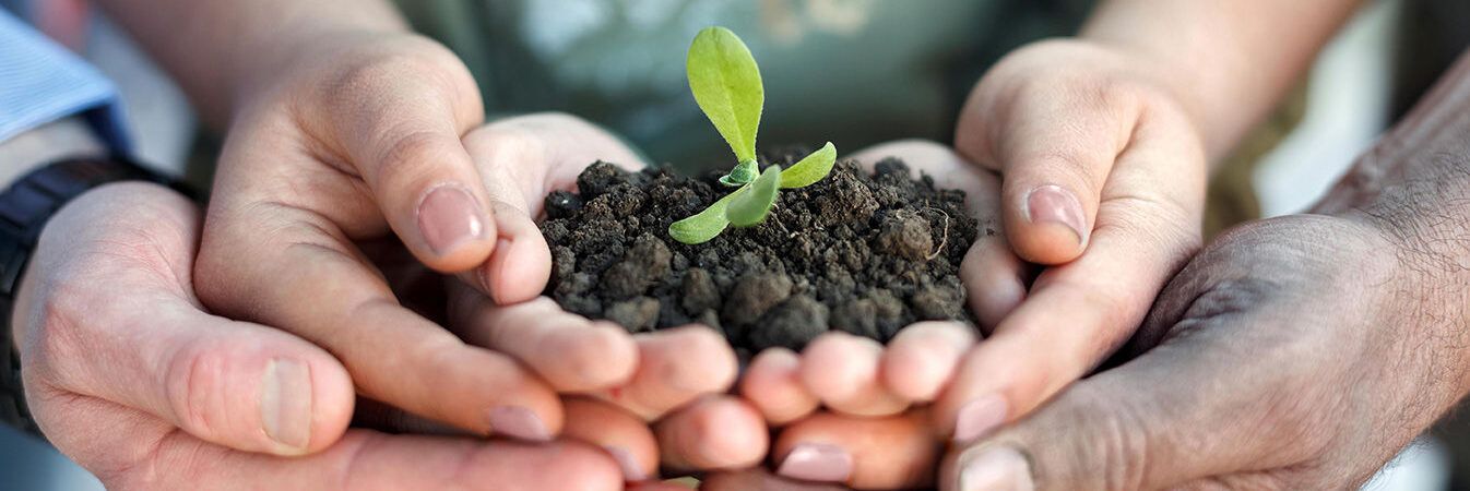 Agricoltura sociale, Confagricoltura: al via il bando 2023