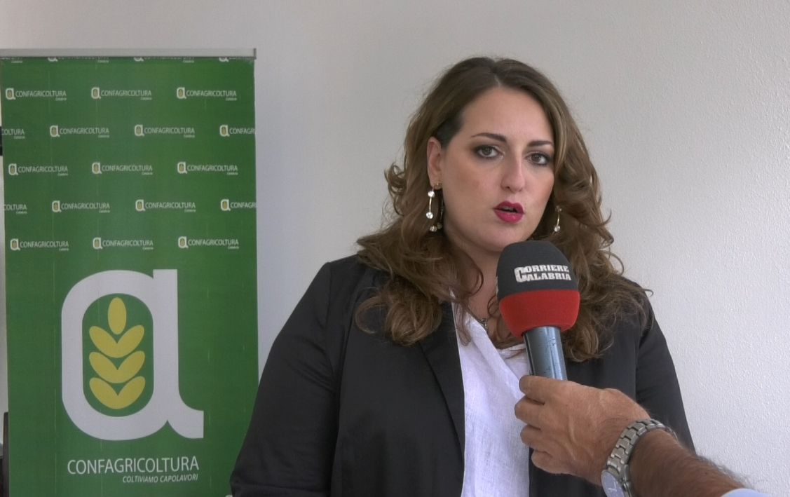 Nesci: «Il prossimo governo non disperda il lavoro di Draghi»