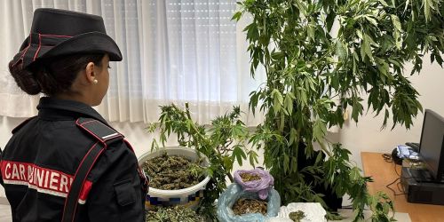 sequestro cannabis lamezia terme