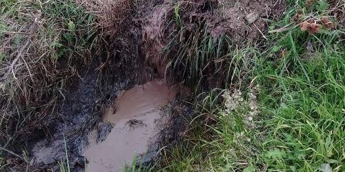 Scarichi illeciti nei torrenti Vitravo e Seccata, sequestrato frantoio nel Crotonese