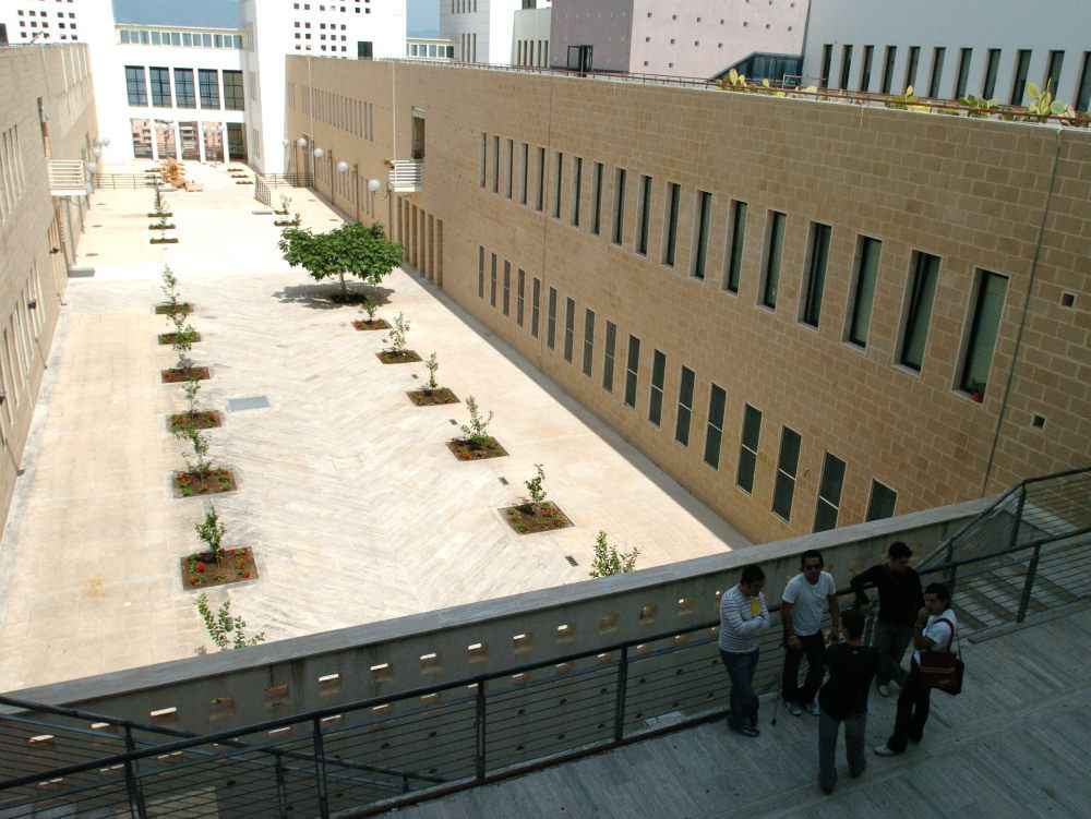 Università Mediterranea, Catanoso contro Russo per il dopo Giovannini