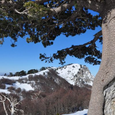 Calabria in bilico (come tutto il Bel Paese), fra tutela e distruzione del paesaggio